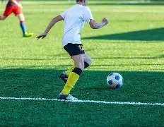 郑钦文全力,出击,勇夺年度最,幸运飞艇,彩票平台,在线投注,高频彩票,中奖机会