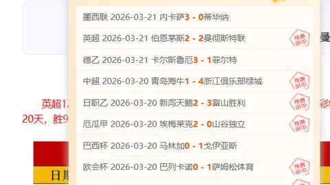 德约科维奇与穆雷并肩成为教练，共创澳网新篇章——《环球时报》报道