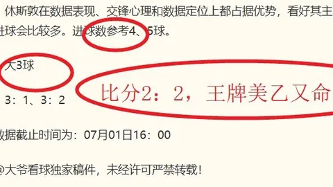 2026欧洲20锦标赛情报：波兰对决立陶宛精彩分析
